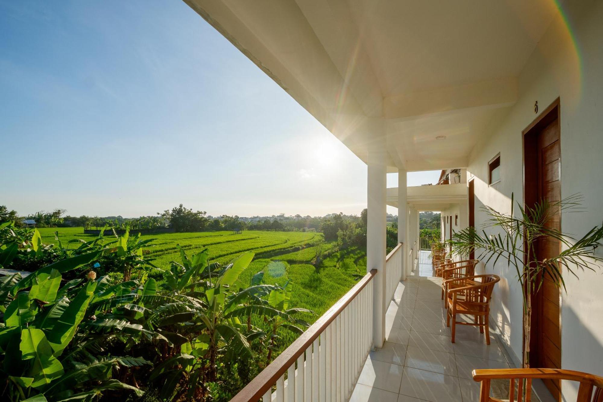 Eden Guest House Canggu Ngoại thất bức ảnh