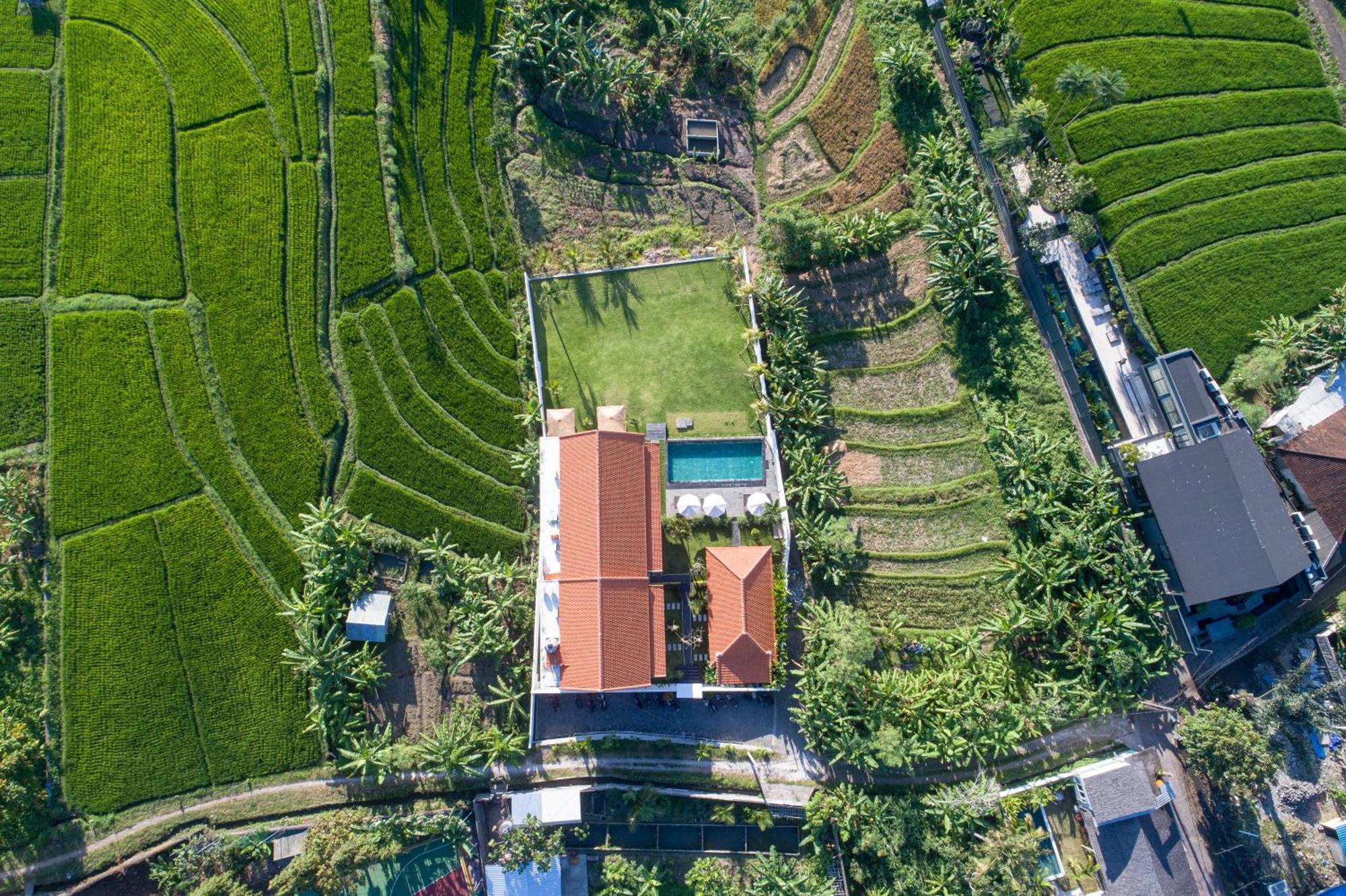 Eden Guest House Canggu Ngoại thất bức ảnh